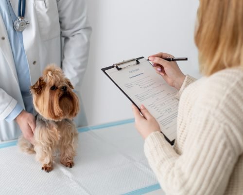 chequeo veterinario